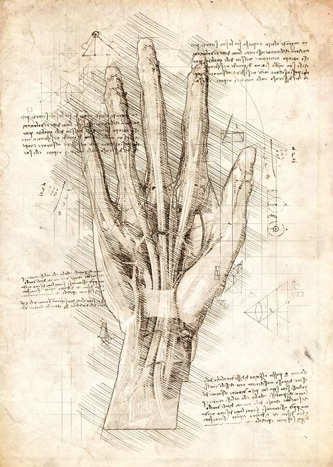 Human Hand