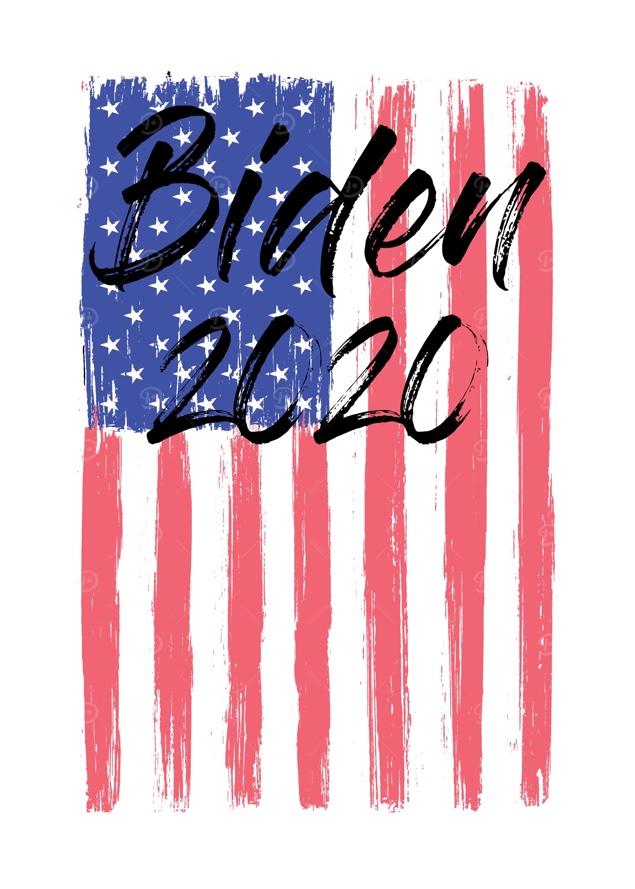 Biden Election Year 2020