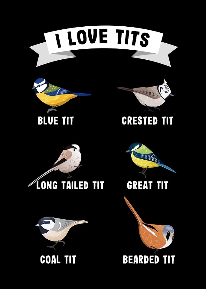 Funny bird watching