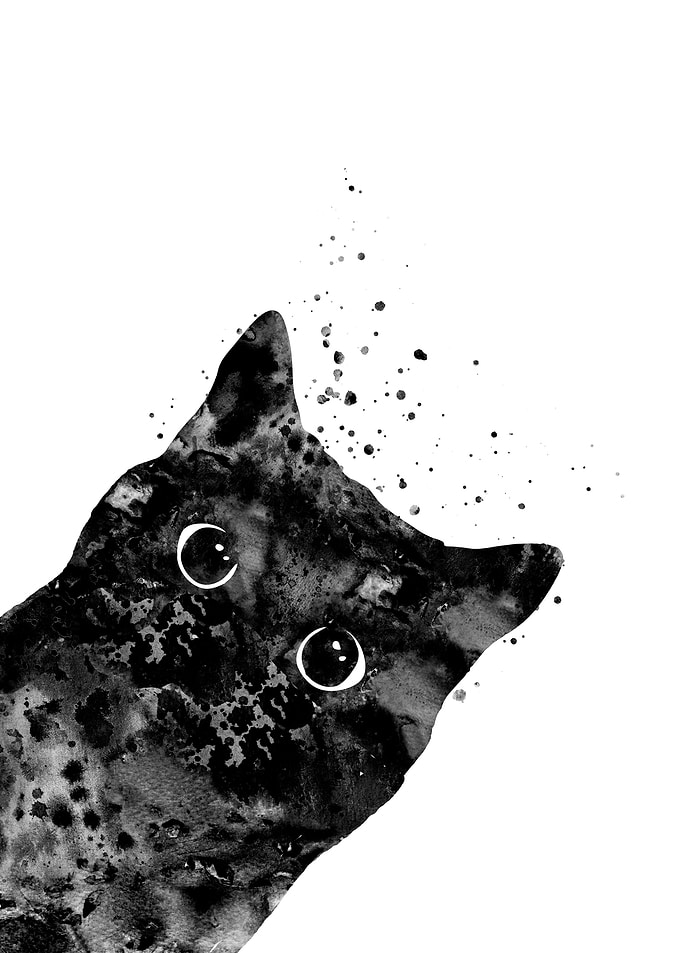 Peeking cat