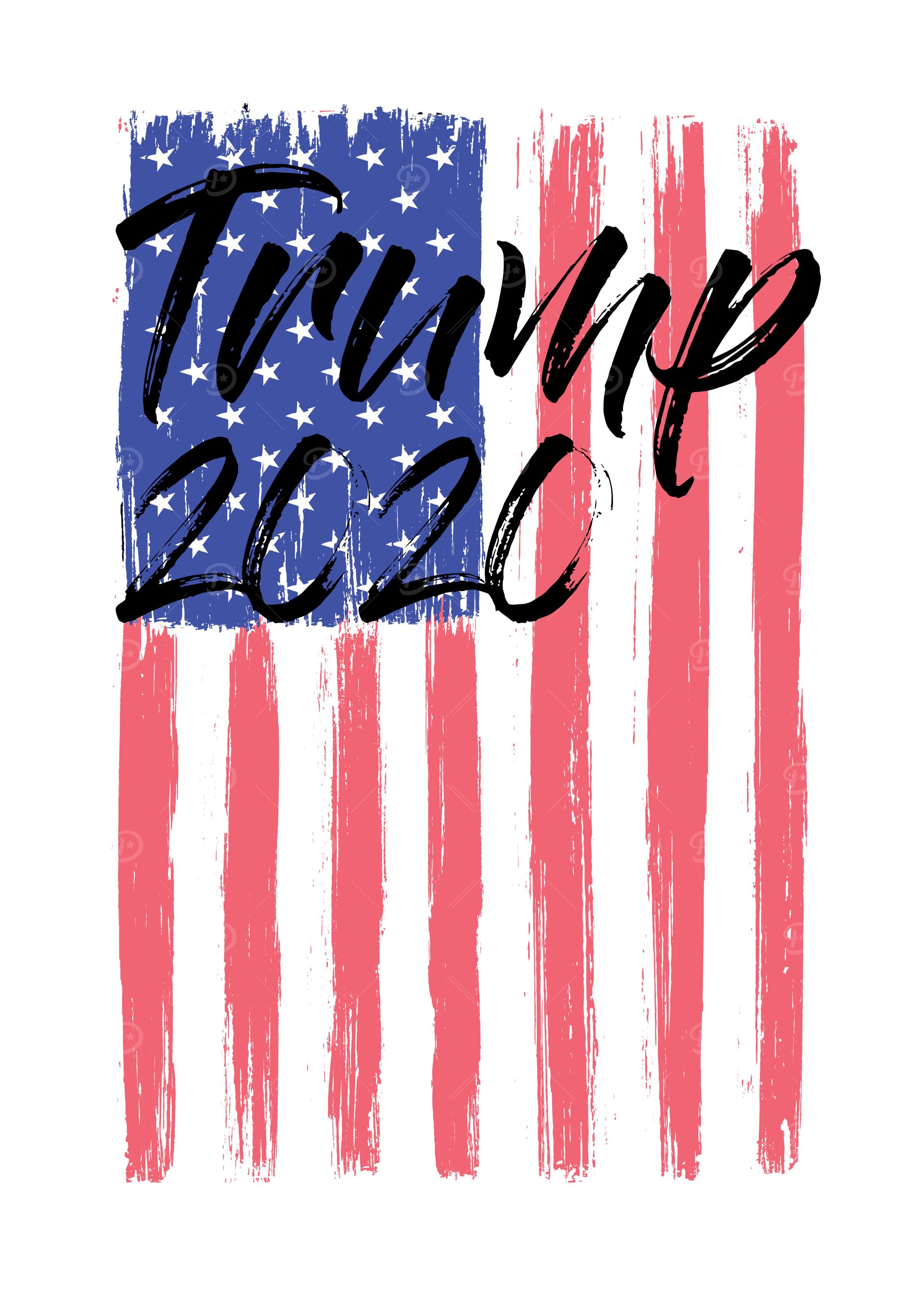 Trump Election Year 2020