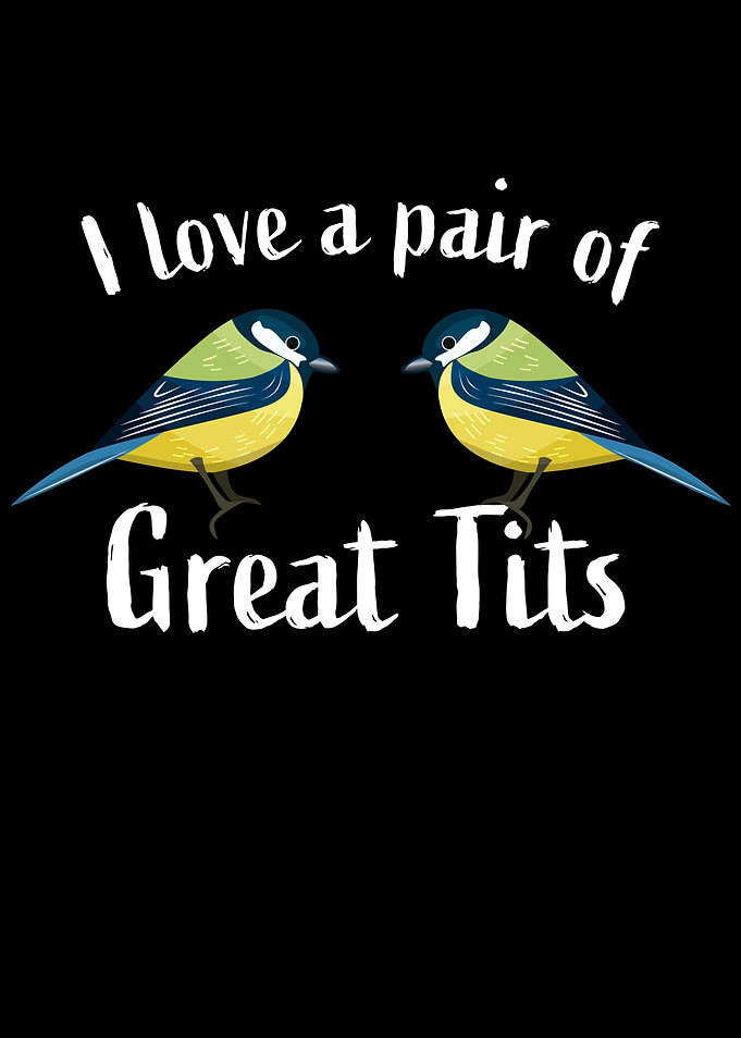 Pair of great tits bird