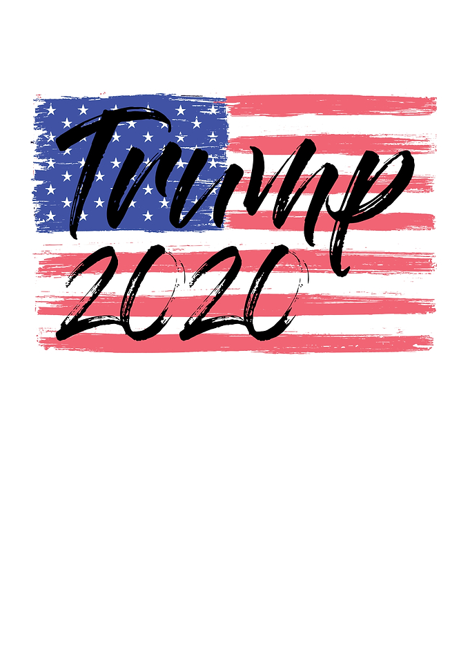 Trump Election Year 2020