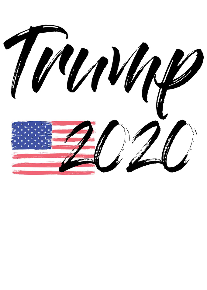 Trump Election Year 2020