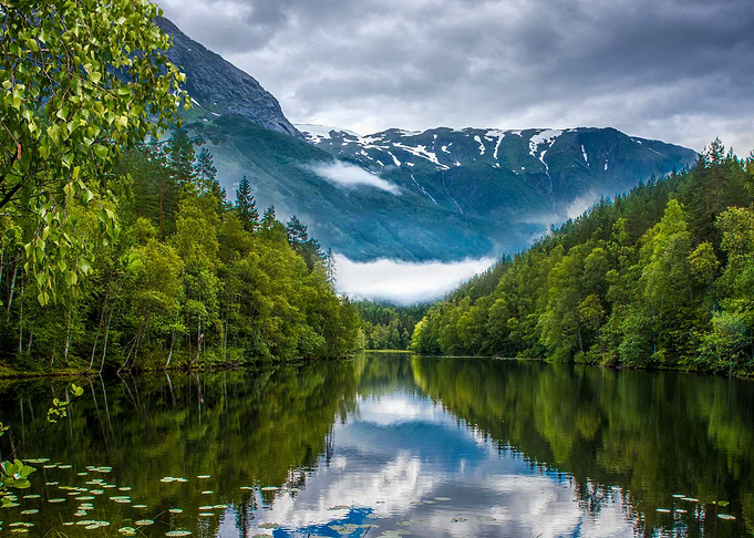 Landscape