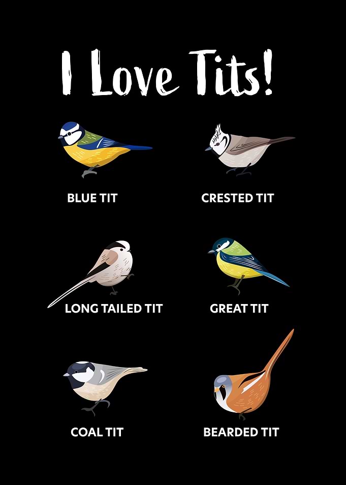 I love tits Funny bird