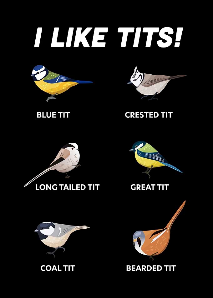 Funny Gift for Bird