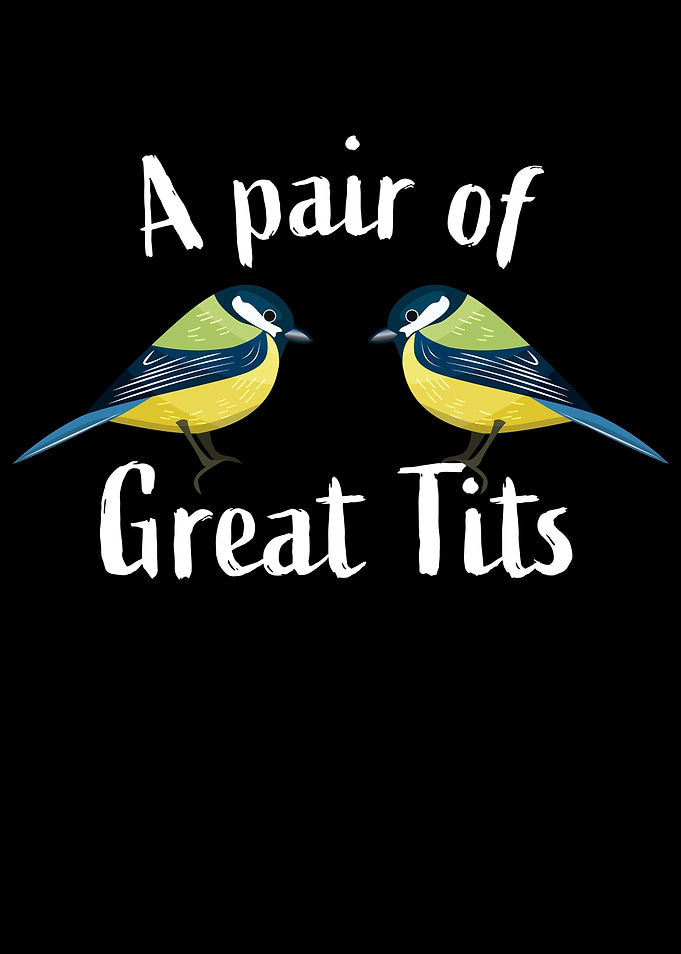 A pair of great tits