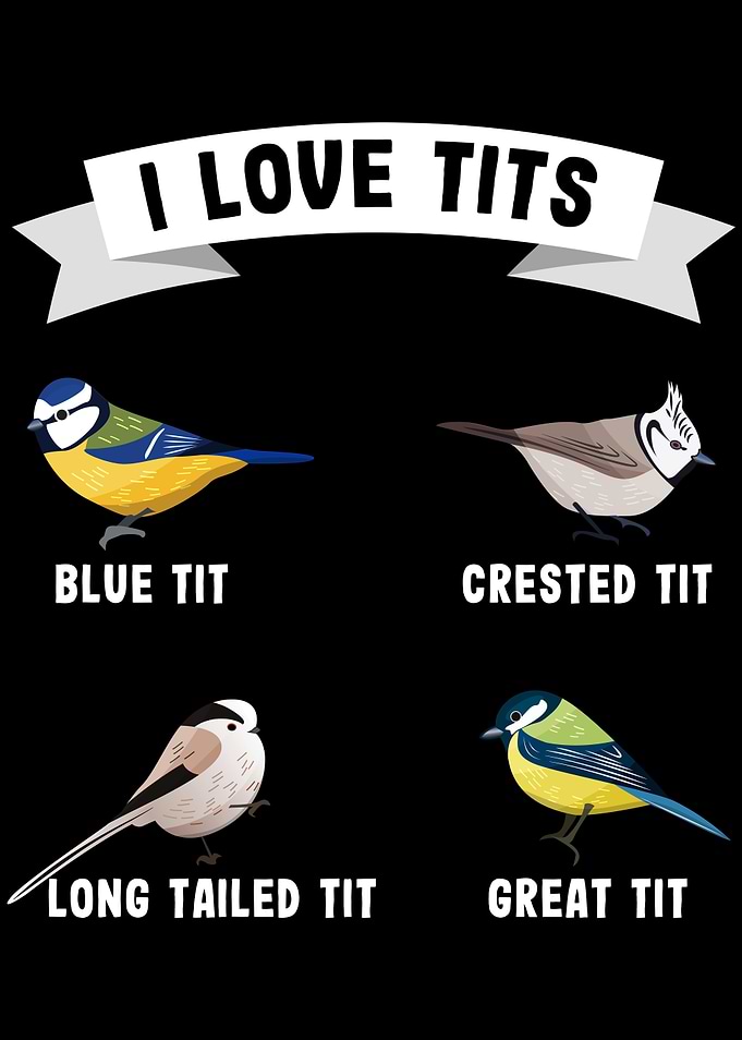 Funny bird watching
