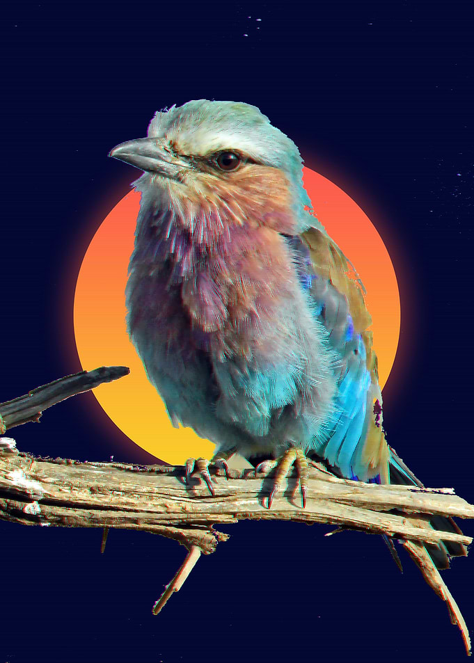 bird in 90s style