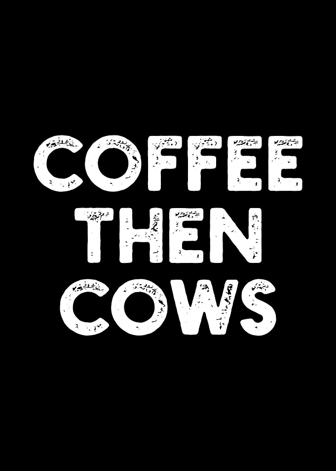 Coffee Then Cows Funny Far
