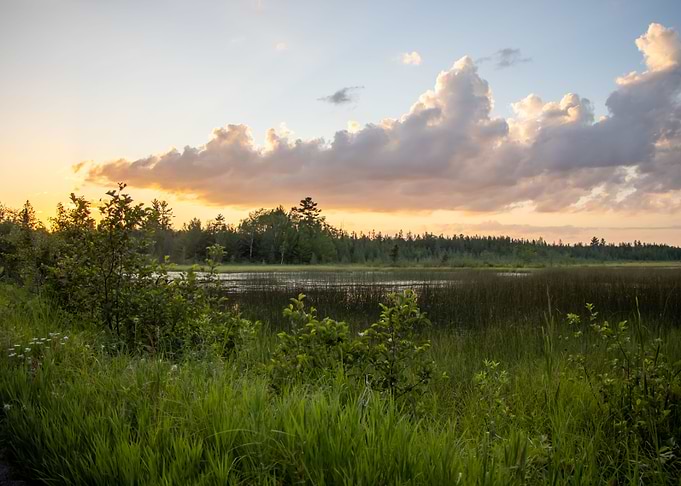 Sunset on Swampy Lake