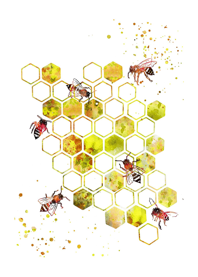 Honeycomb