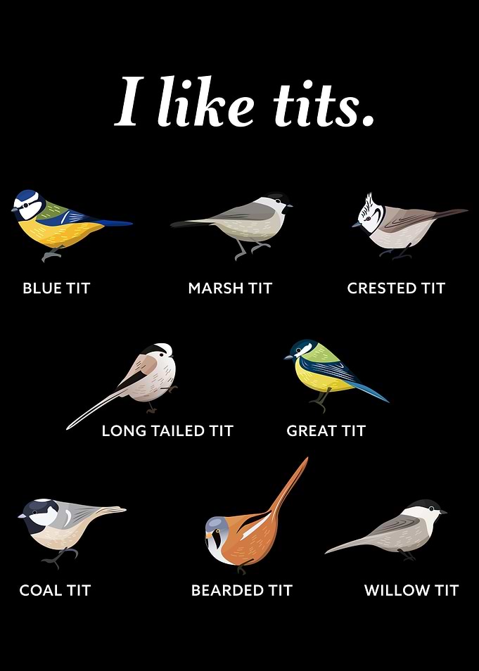 I like tits Funny Gift for