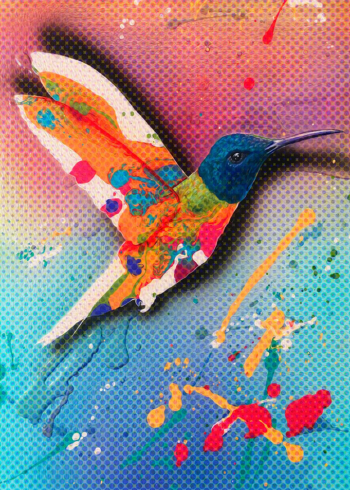 Hummingbird in colors