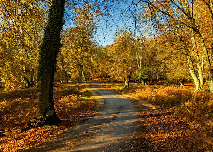 The winding road