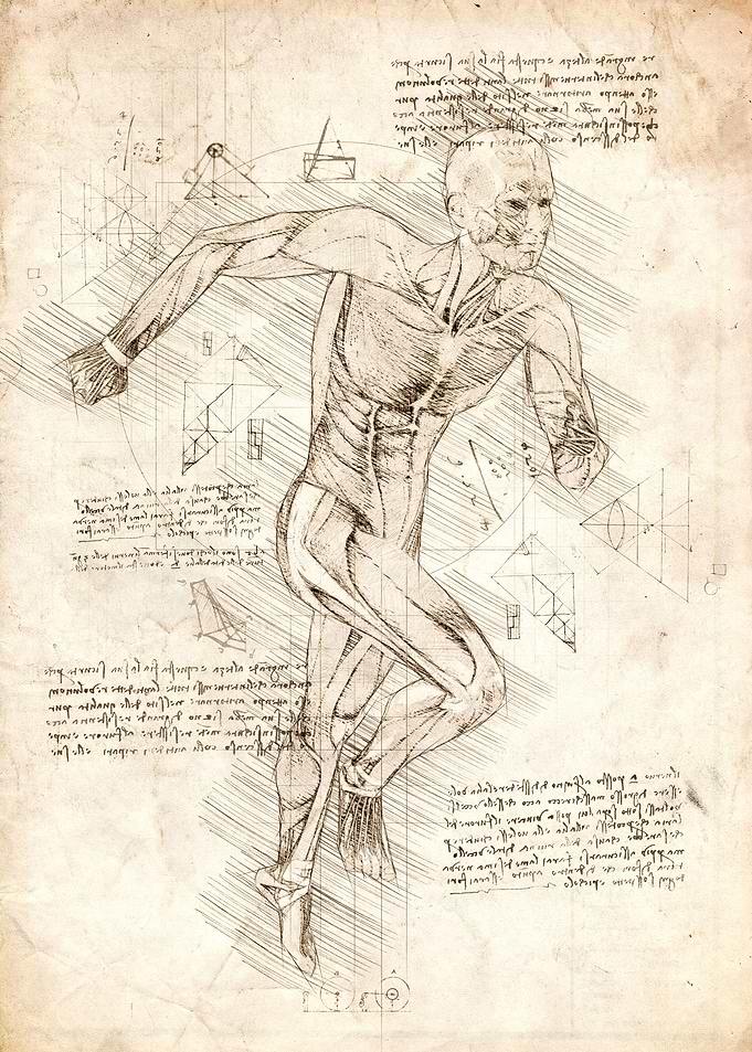 Human Body Running