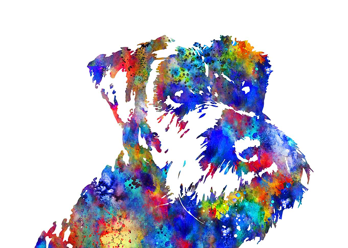 Miniature schnauzer