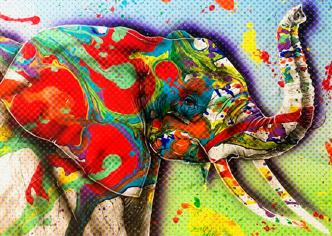 Elephant colorful