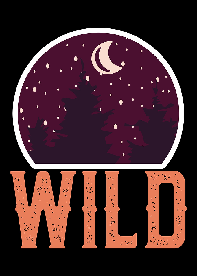 Wild Moon and Star Graphic