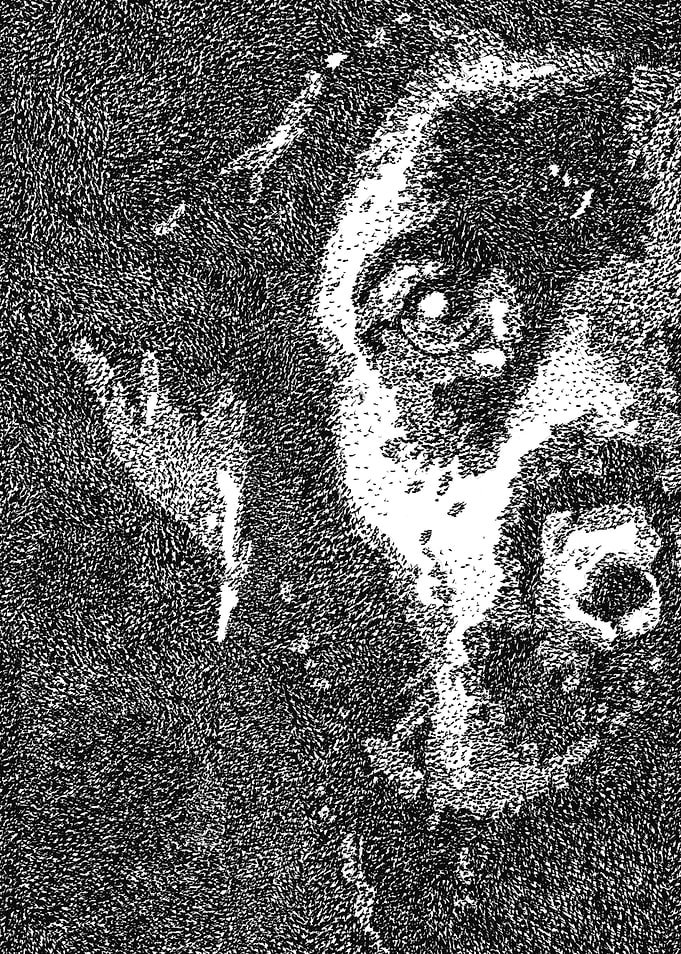 Labrador