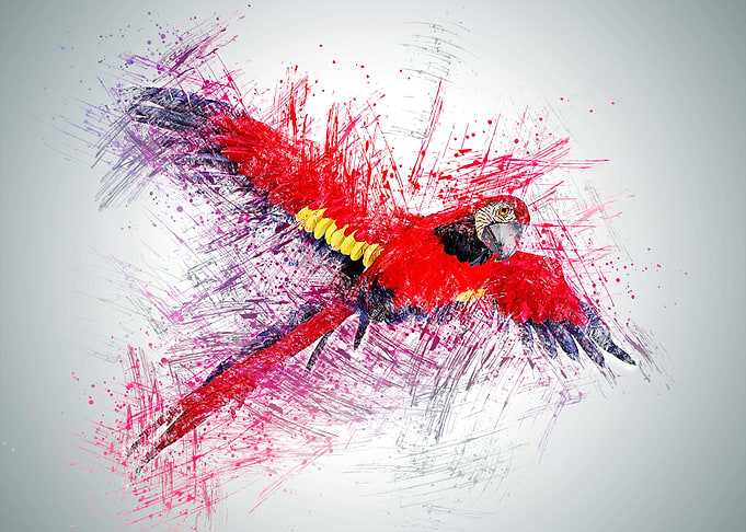 Parrot Bird Painting