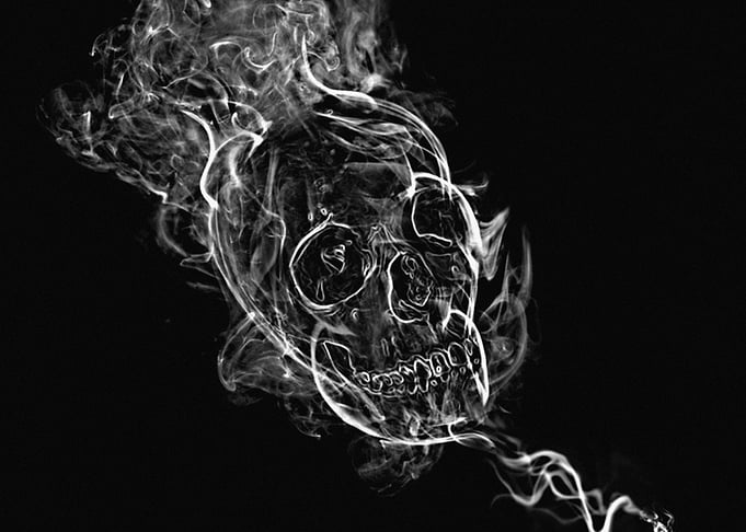 skulls
