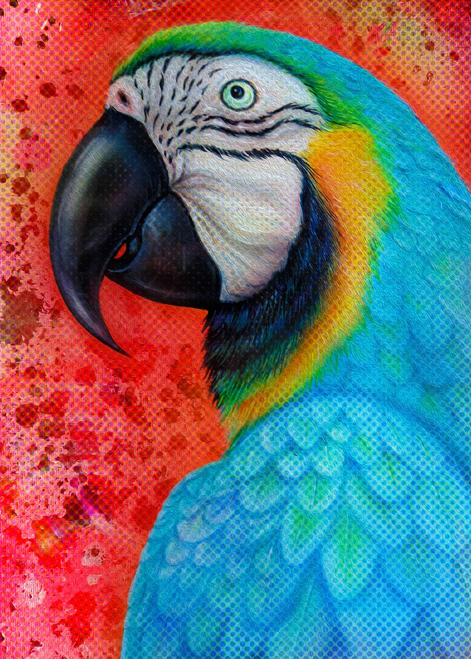 Blue parrot