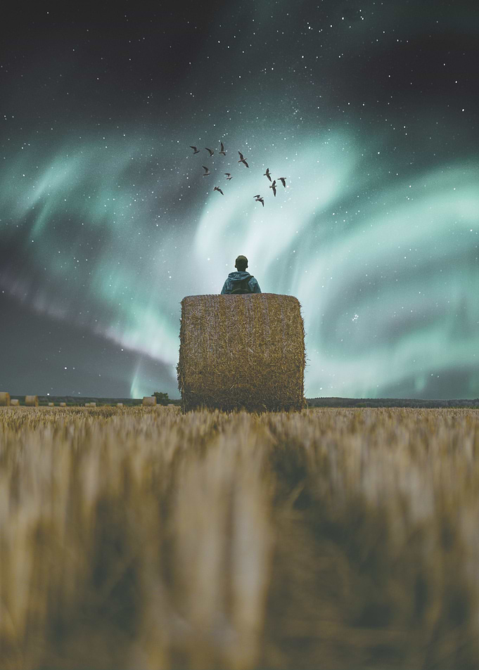 aurora fields