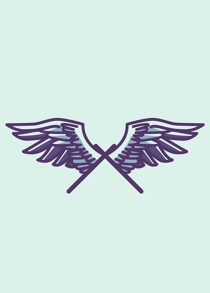 Wings to fly