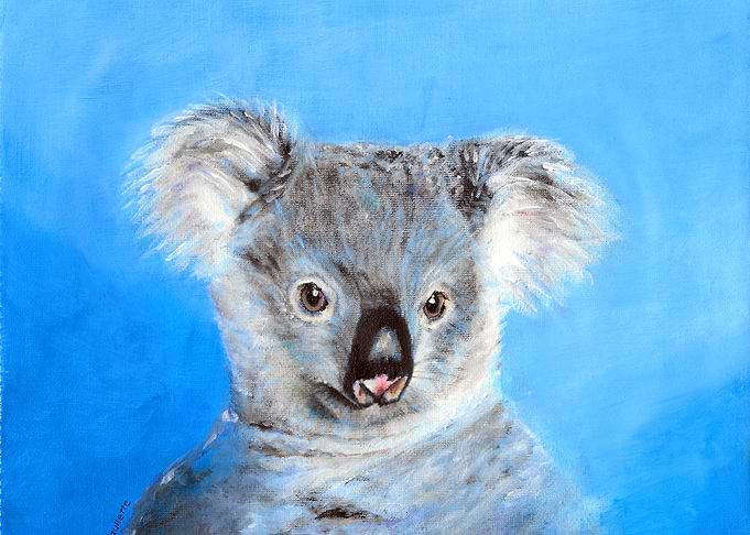 koala bear