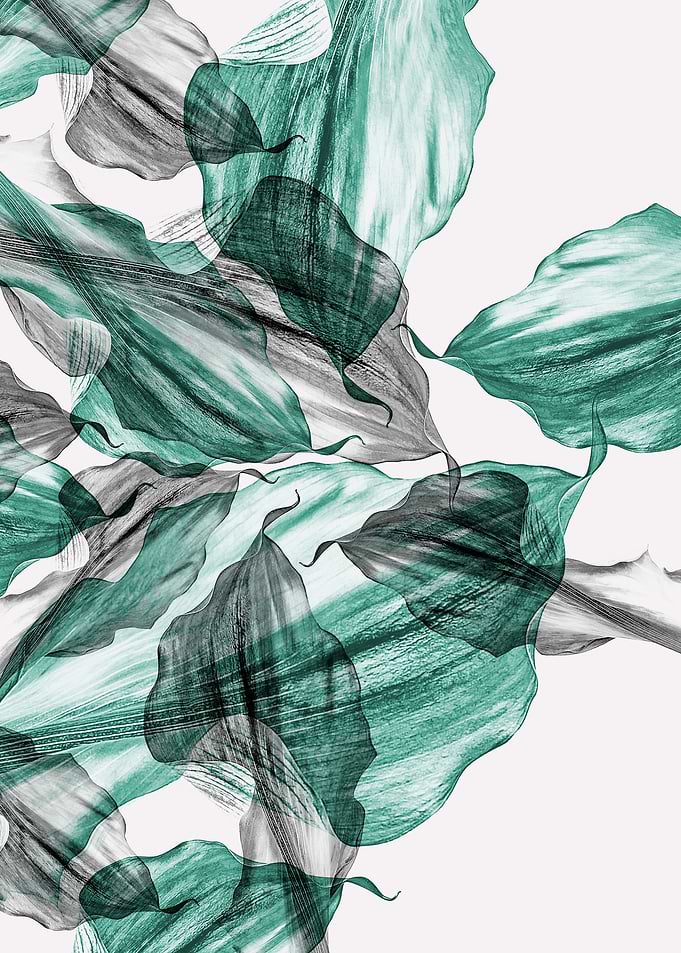 Green and Grey Leaf Image