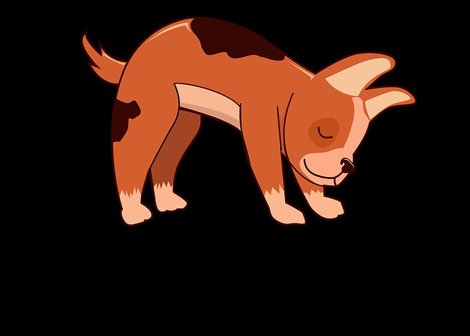 Downward Dog Cute Dog Br