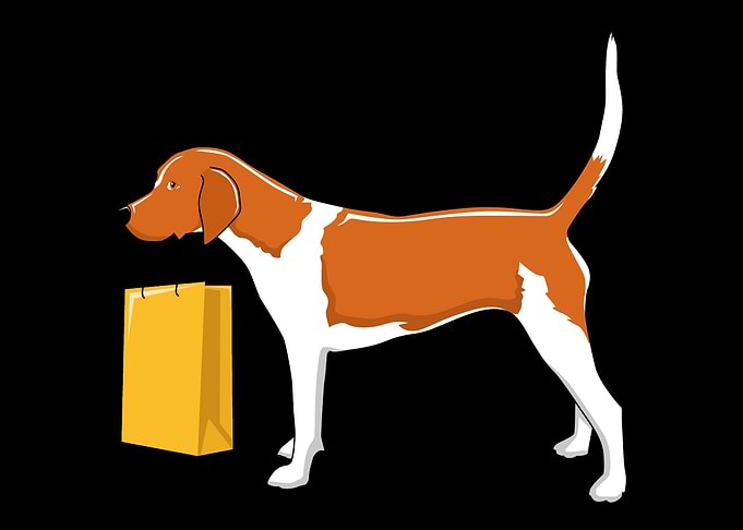 Shopping Dog Cute Dog Br