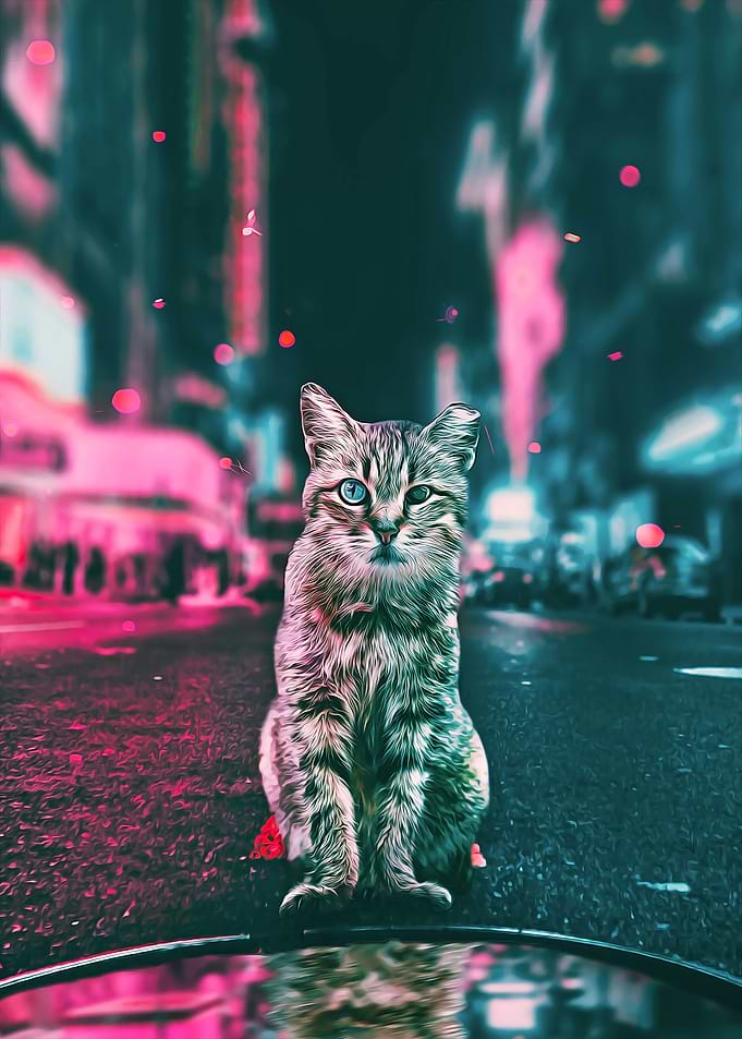 Cybercat 2077