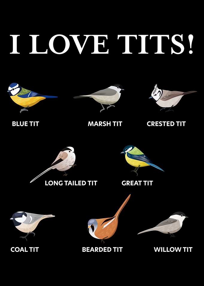Funny Birdwatching Tit