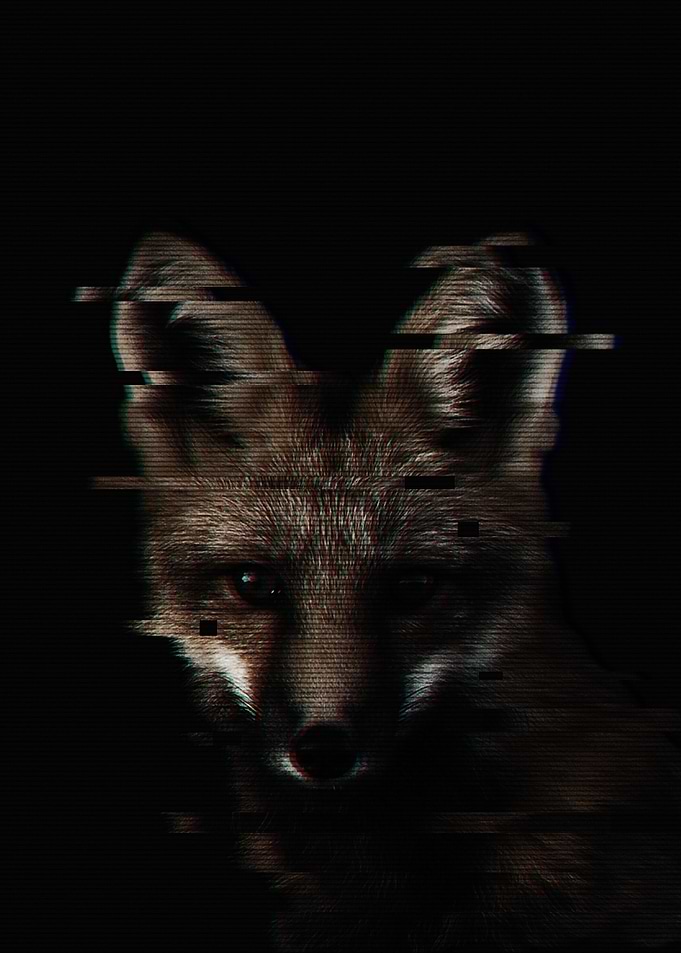 Glitched Fox