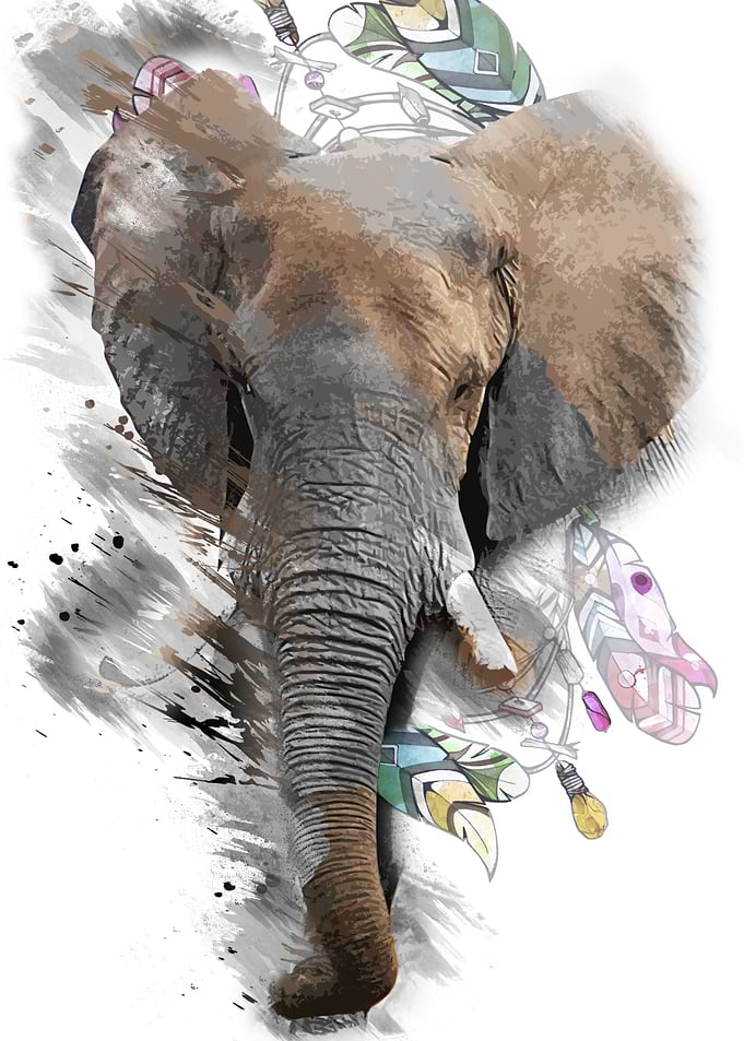 Elephant with dreamcatcher