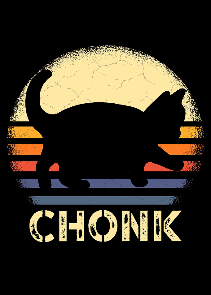 Fat Cat Chonk cat Retro