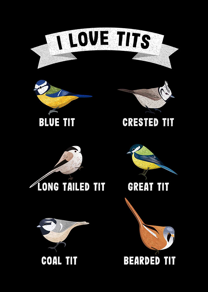I like tits Funny Bird
