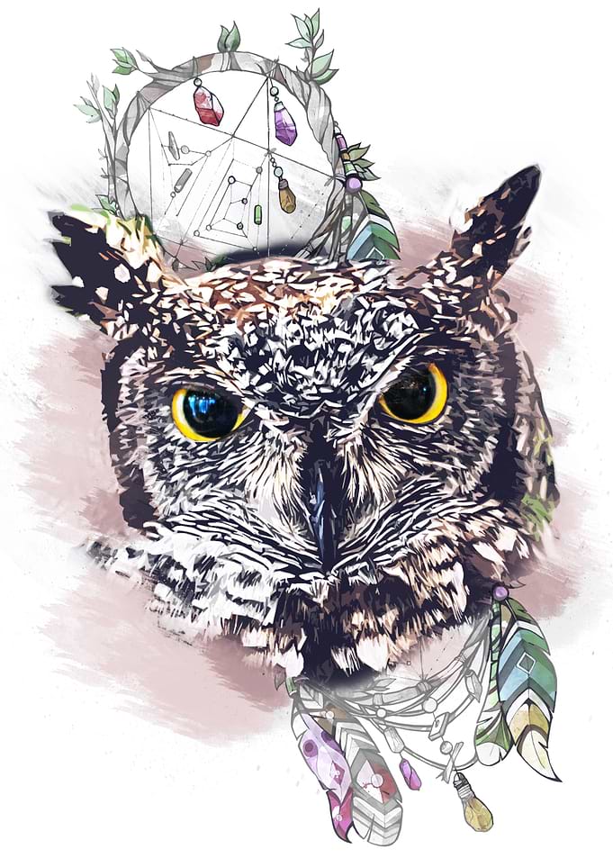 Owl with dreamcatcher