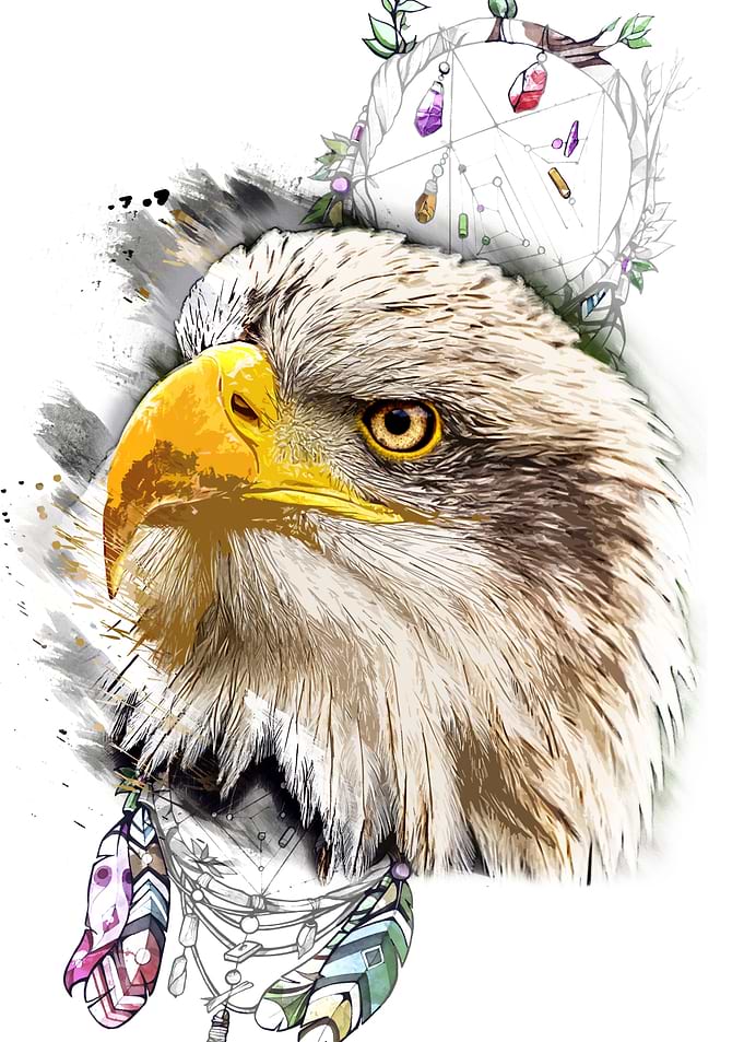 Eagle with dreamcatcher