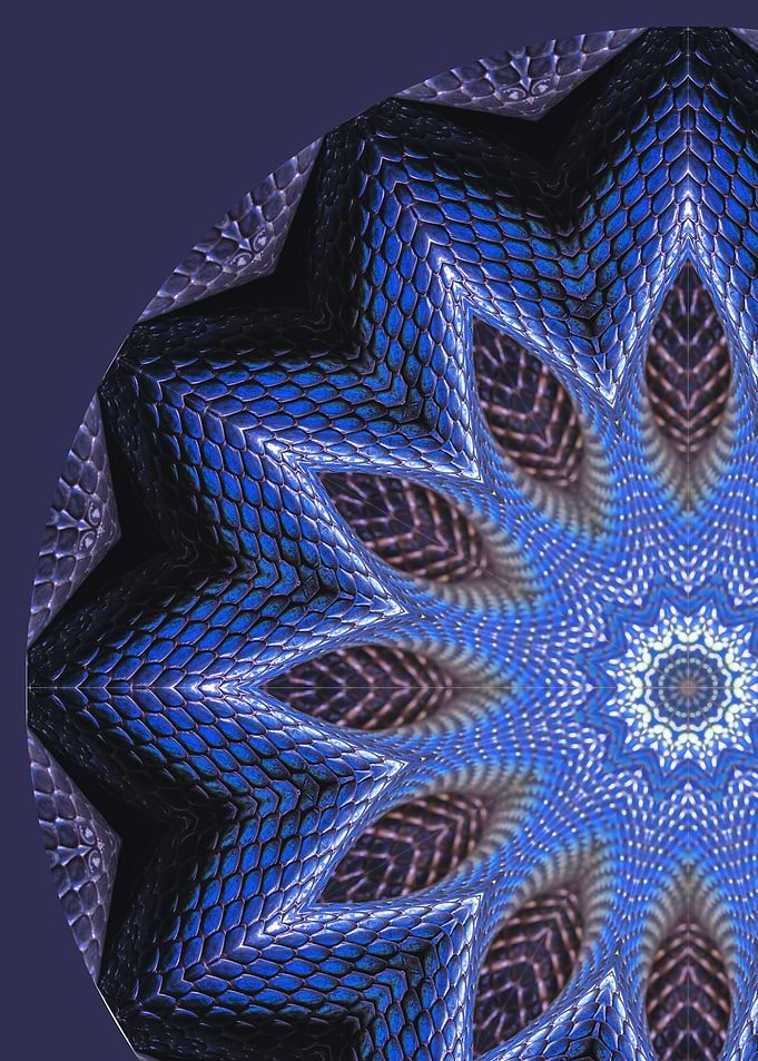 Snake Mandala I