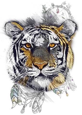 Tiger in a dream
