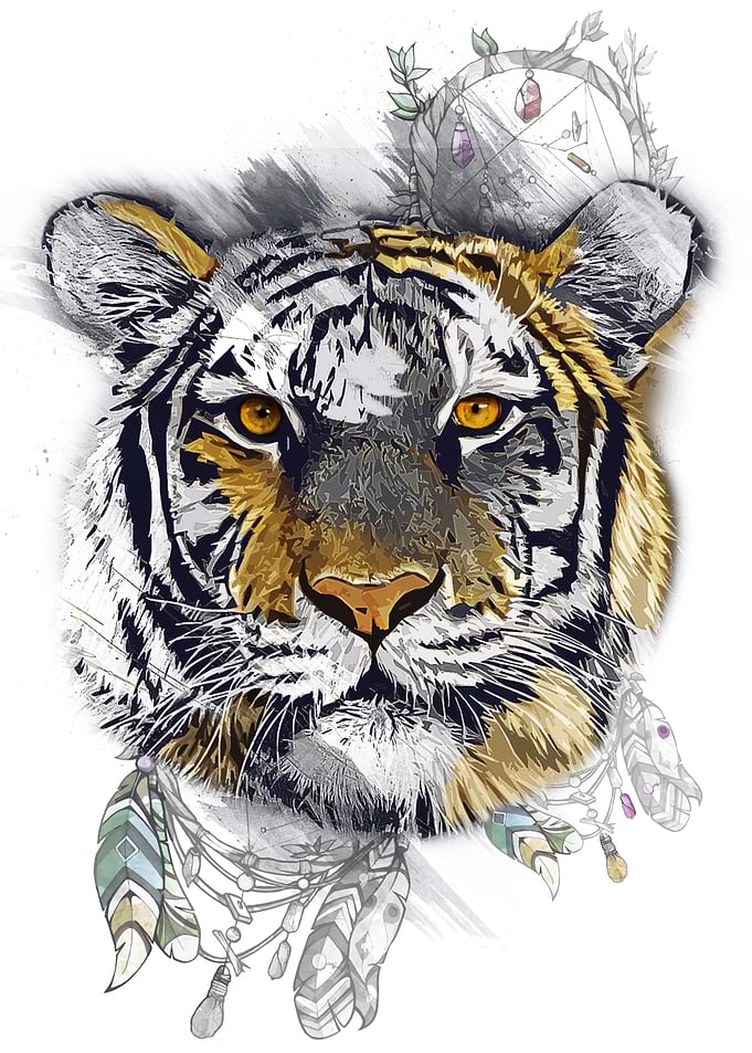 Tiger in a dream