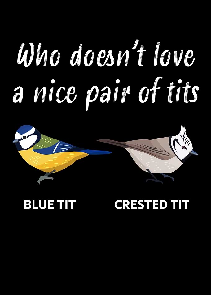 Funny tit bird gift for