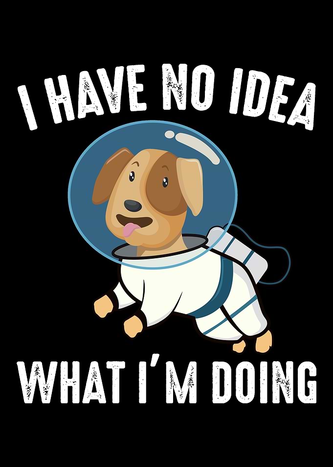 I Have No Idea What Im Do