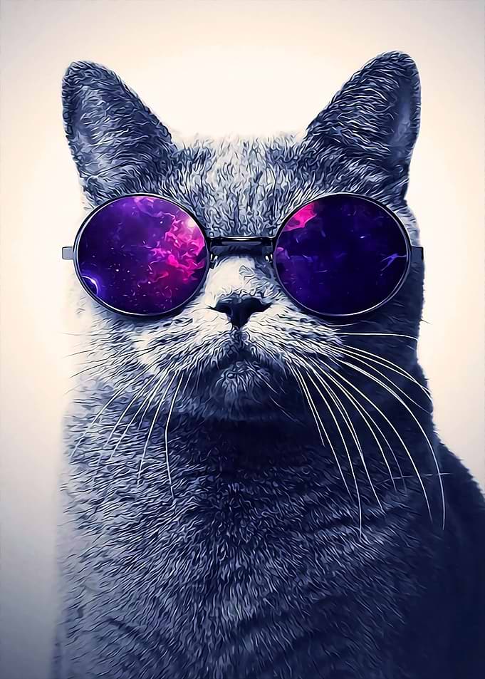 Cats