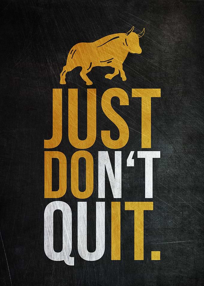 Just Do Not Quit