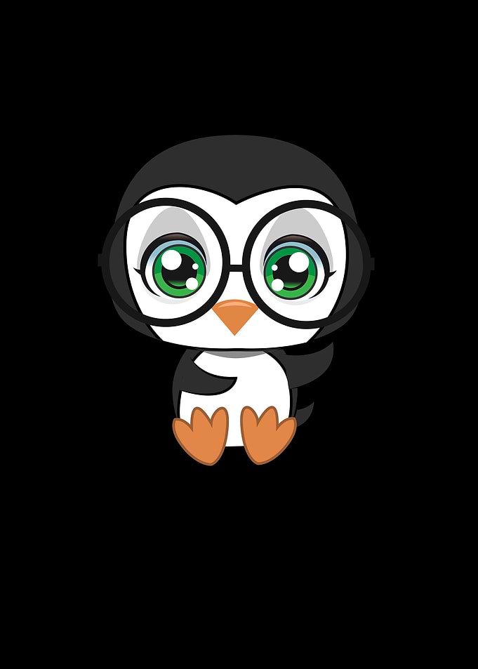 Penguin Glasses cutie Pet